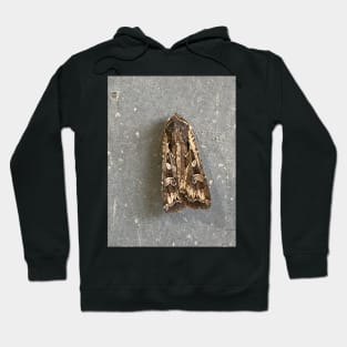 Moth Hoodie